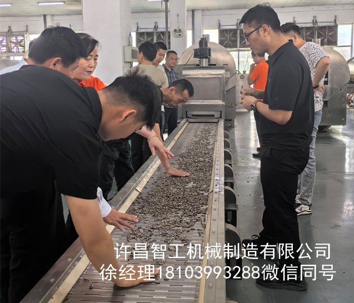 河南客戶來廠試機(jī)全自動炒瓜子流水線